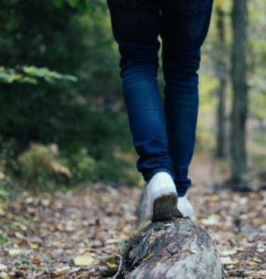 Hiking www.hillyardhouse.com