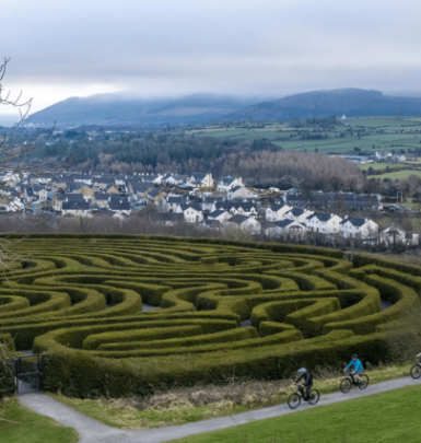 Castlewellan maze www.hillyardhouse.com