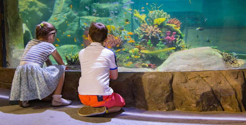 Download www.hillyardhouse.com