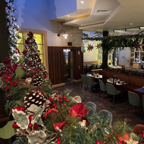 Christmas yard www.hillyardhouse.com