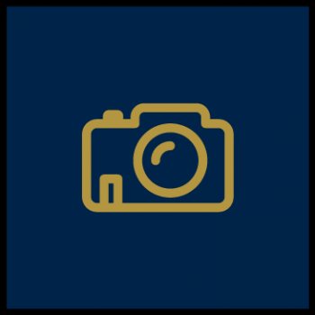 Forest photography www.hillyardhouse.com